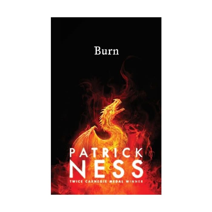 Burn (Hardcover)