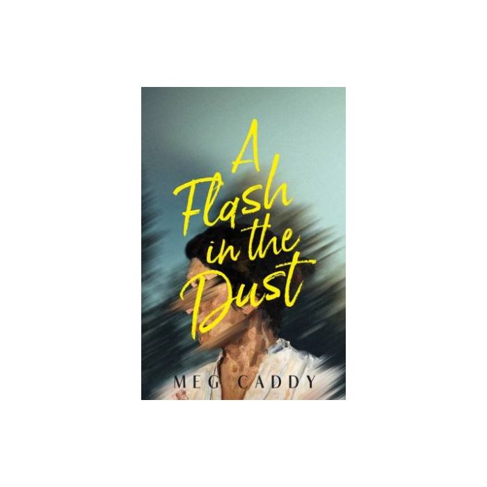 A Flash in the Dust
