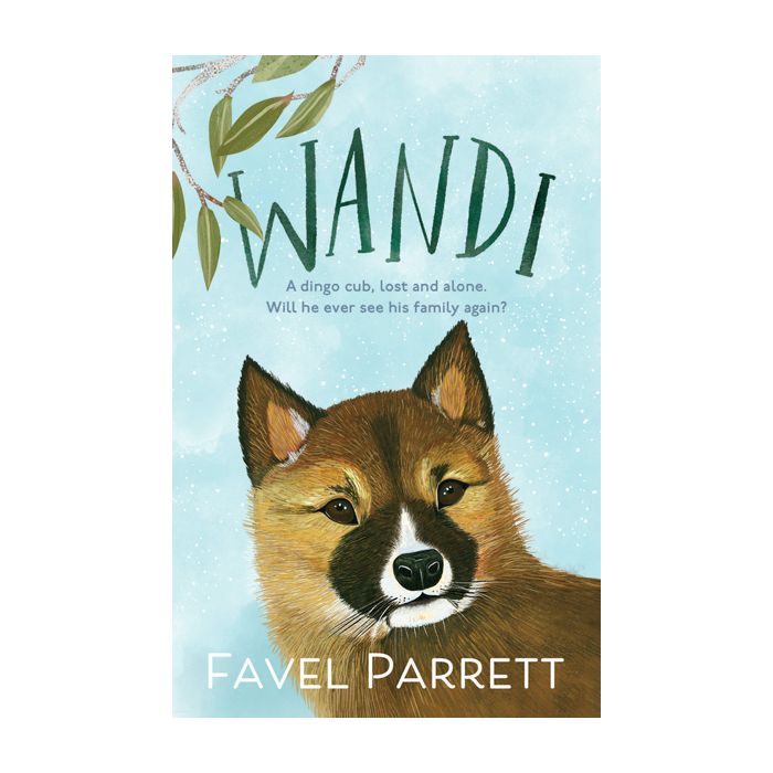 Wandi