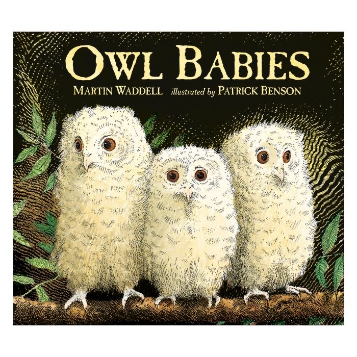 Owl Babies Board Book