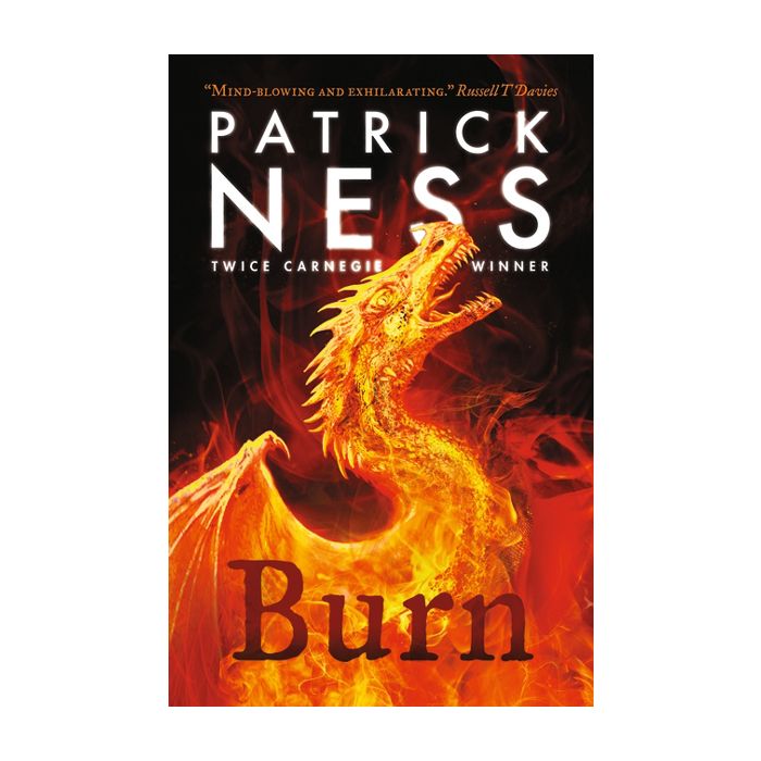 Burn (Paperback)