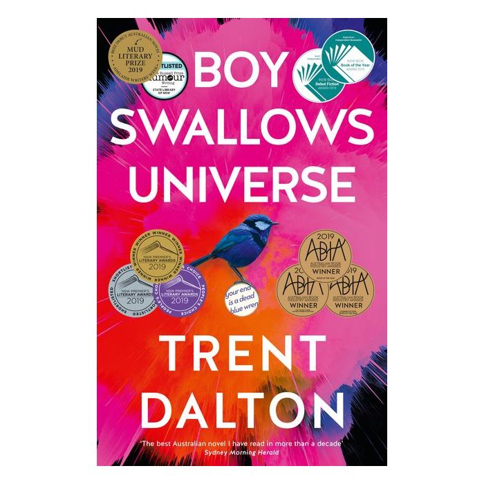 Boy Swallows Universe