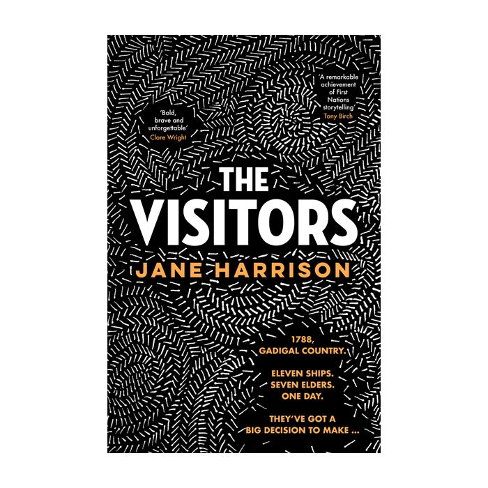 The Visitors (novel)