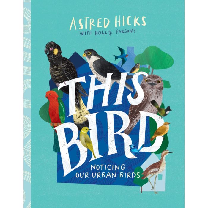 This Bird: Noticing Our Urban Birds