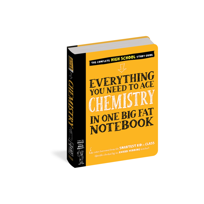 Everything You Need to Ace Chemistry in One Big Fat Notebook
