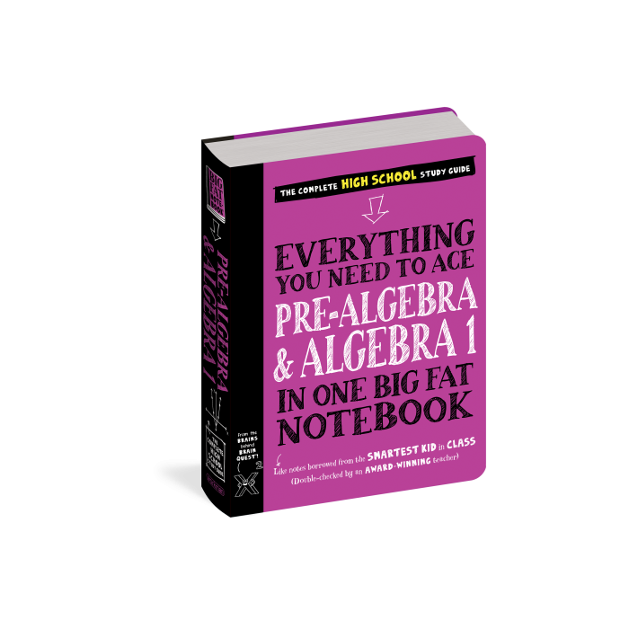 Everything You Need to Ace Pre-Algebra and Algebra I in One Big Fat Notebook