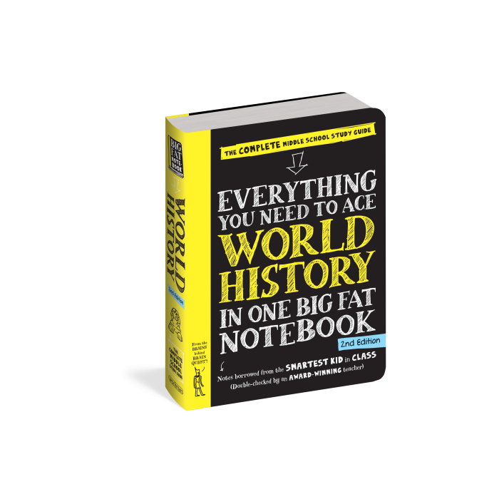 Everything You Need To Ace World History 2nd Edition