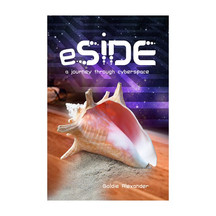 eSide: A journey through cyberspace