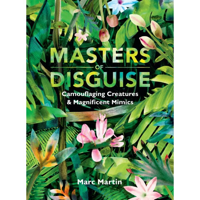Masters of Disguise