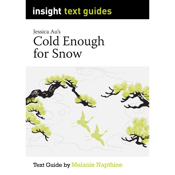 Insight Text Guide: Cold Enough for Snow