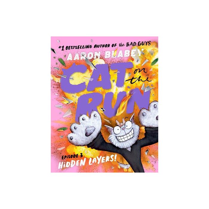 Cat on the Run: Episode 3 Hidden Layers!