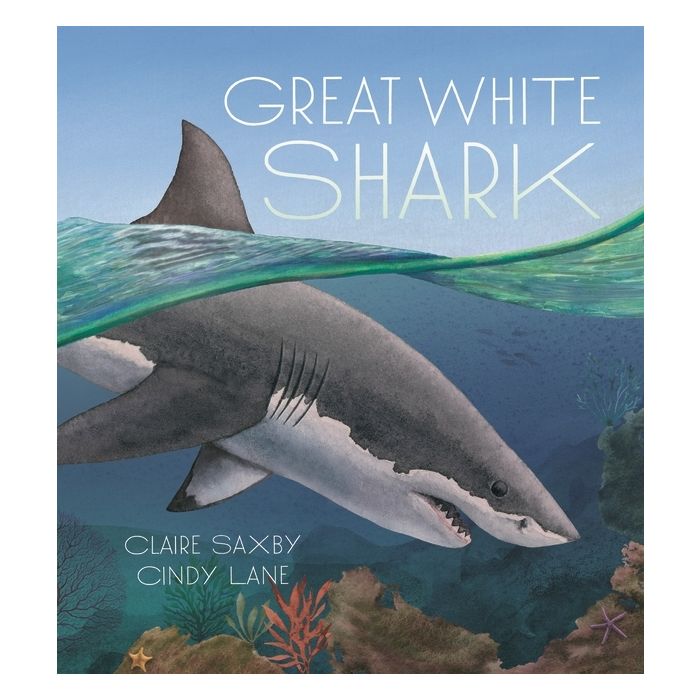 Great White Shark (Available to order)