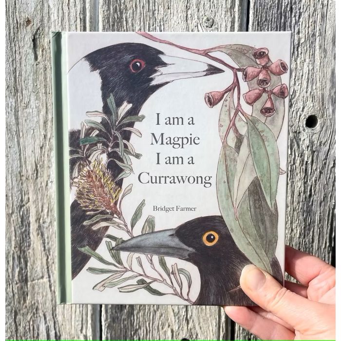 I am a Magpie, I am a Currawong