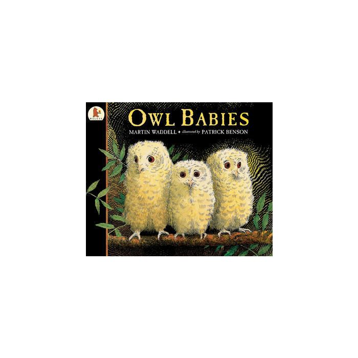 Owl Babies