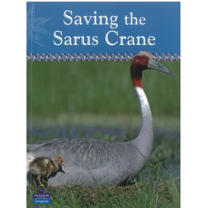 Saving the Sarus Crane (Snapshots series)