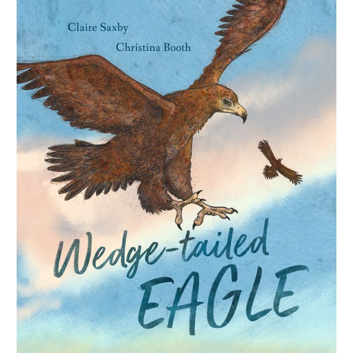 Wedge-tailed Eagle (Hardcover)