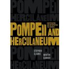 Pompeii and Herculaneum: Investigating and Interpreting the Sources