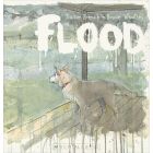 Flood