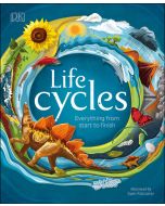 Life Cycles