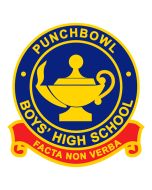 Punchbowl Boys' High Year 9 2025