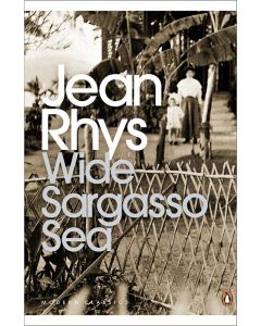 Wide Sargasso Sea (Penguin Modern Classics)
