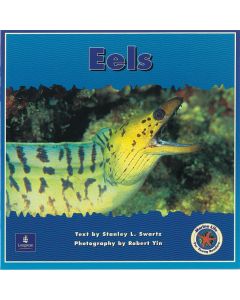 Marine Life: Eels