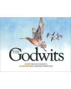 The Godwits