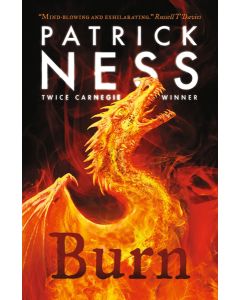 Burn (Paperback)