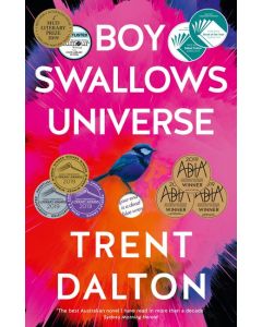 Boy Swallows Universe