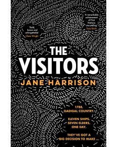 The Visitors (novel)