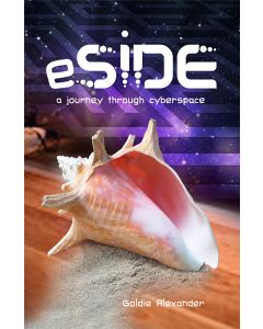 eSide: A journey through cyberspace