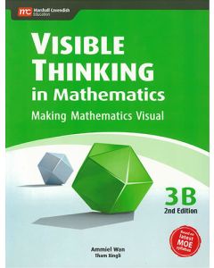 Visible Thinking in Mathematics 3B (2nd edition)