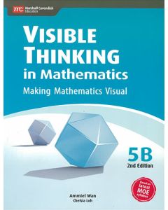 Visible Thinking in Mathematics 5B (2nd edition)