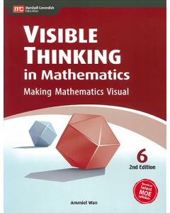 Visible Thinking in Mathematics 6 (2nd edition)