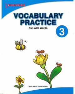 Vocabulary Practice 3