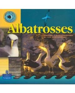 Antarctic Experience: Albatrosses
