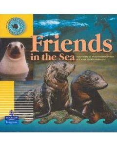 Antarctic Experience: Friends in the Sea