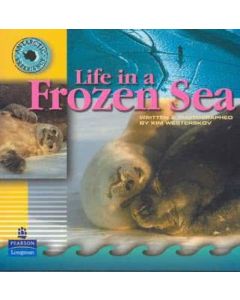 Antarctic Experience: Life in a Frozen Sea