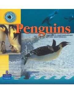 Antarctic Experience: Penguins