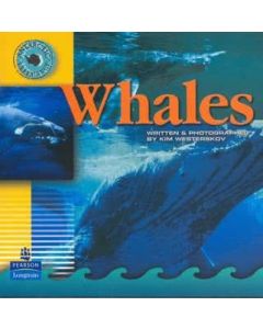 Antarctic Experience: Whales