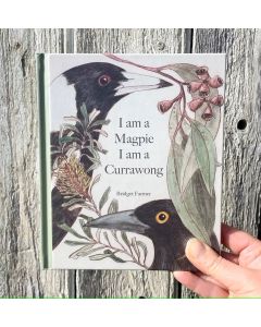 I am a Magpie, I am a Currawong