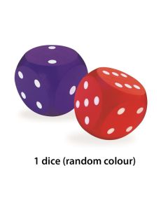 Giant Wooden Dice (random colour)