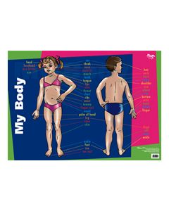 Wall Chart - My Body