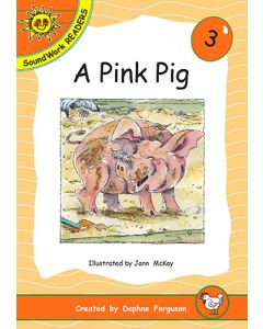 03. A Pink Pig