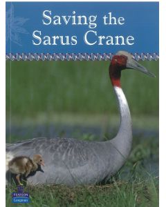 Saving the Sarus Crane (Snapshots series)