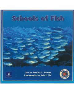 Marine Life : Schools of Fish