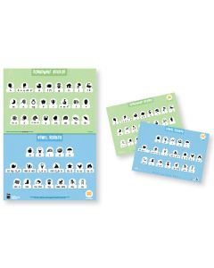 Sound Waves Foundation Teaching Charts