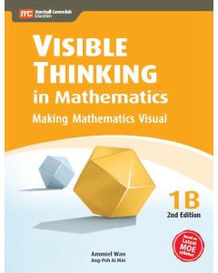Visible Thinking in Mathematics 1B (2nd edition)