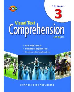 Visual Text Comprehension 3