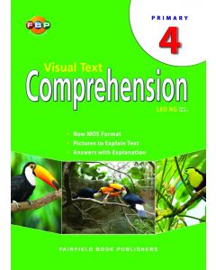 Visual Text Comprehension 4